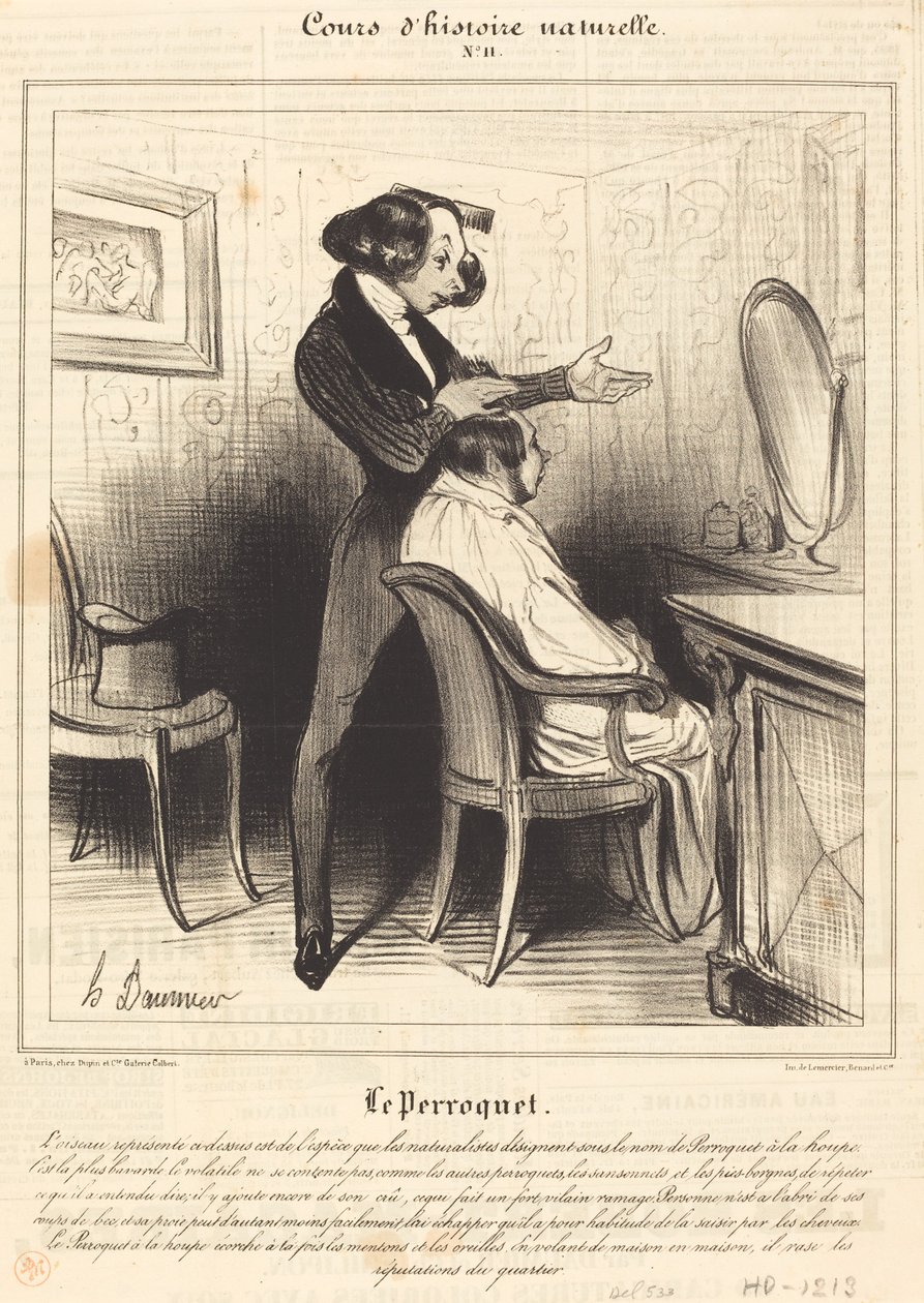 Papukaija tekijältä Honoré Daumier