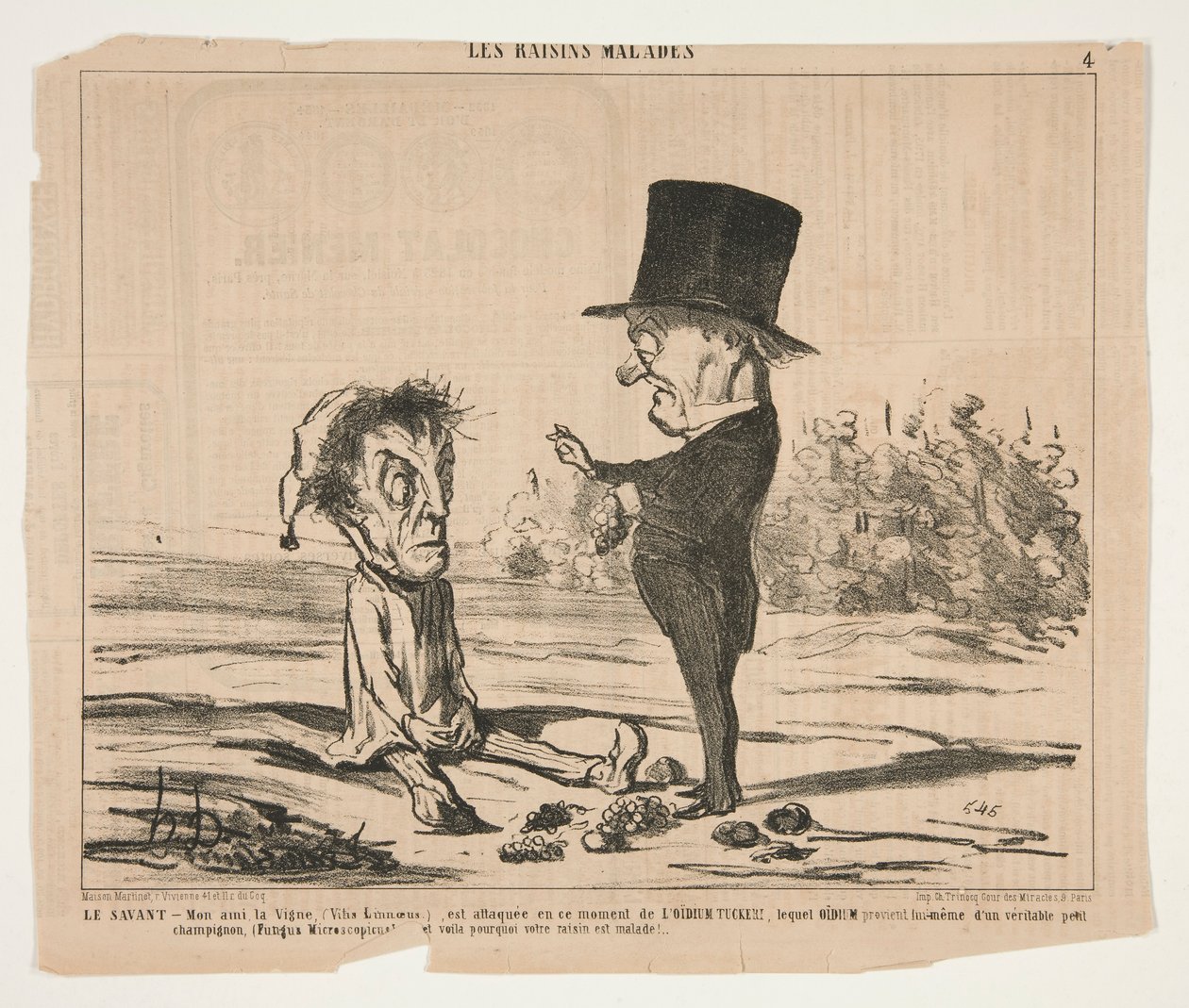 Tutkija - Ystäväni viiniköynnös (Vitis Linnaeus.) on tällä hetkellä hyökkäyksen kohteena tekijältä Honoré Daumier
