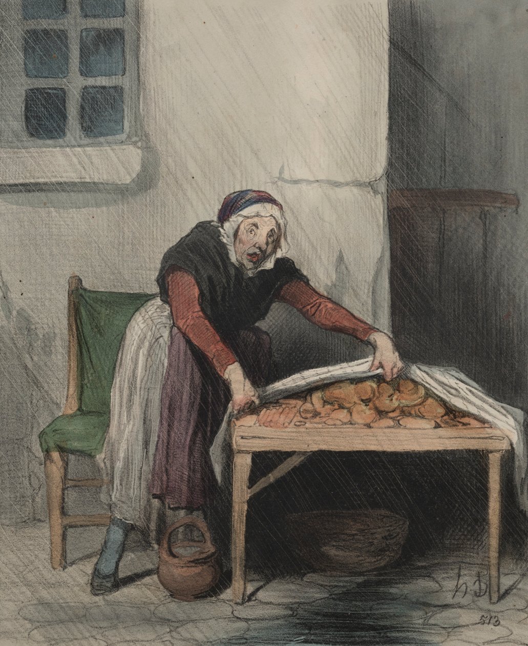 Tulkintojen luku, levy 8: Jokainen palovamma pelkää kylmää vettä, 1843. tekijältä Honoré Daumier