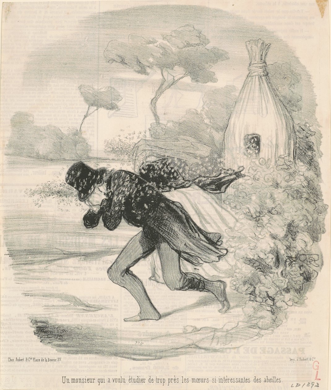 Herrasmies, joka halusi opiskella ... mehiläisten tapoja ... tekijältä Honoré Daumier