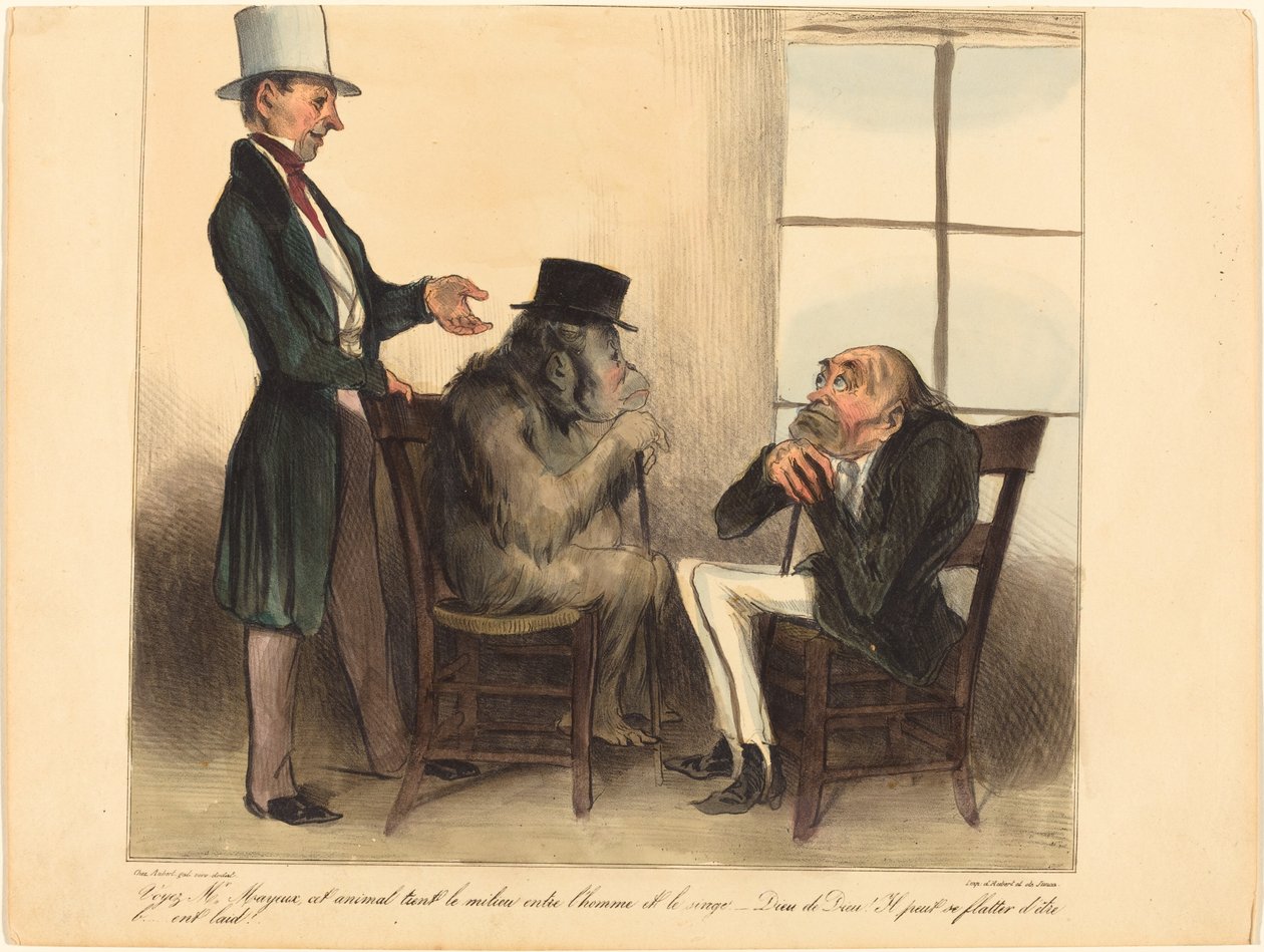 Katso, herra Mayeux, tämä eläin... tekijältä Honoré Daumier