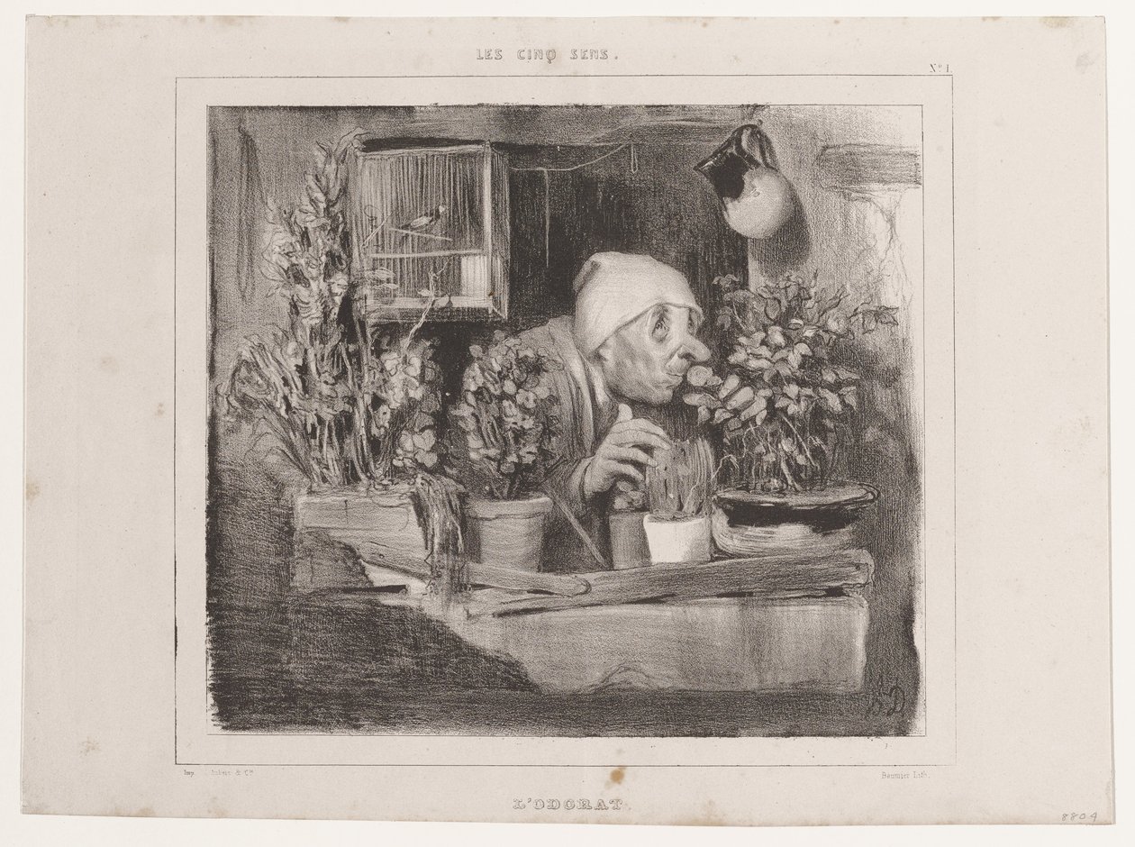 Hajuaisti (Viisi aistia), julkaisusta La Caricature tekijältä Honoré Daumier