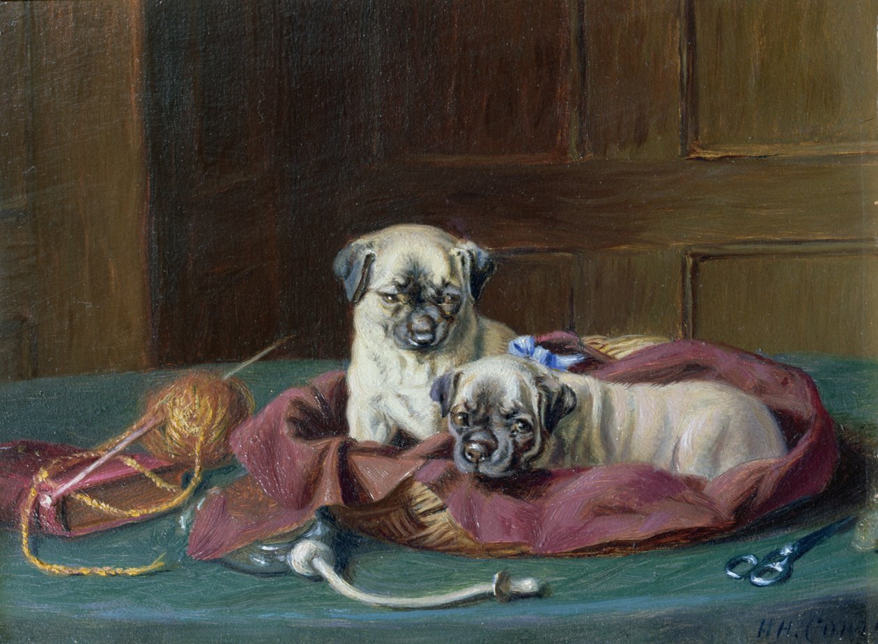 Mopsi pennut korissa (paneeli) tekijältä Horatio Henry Couldery