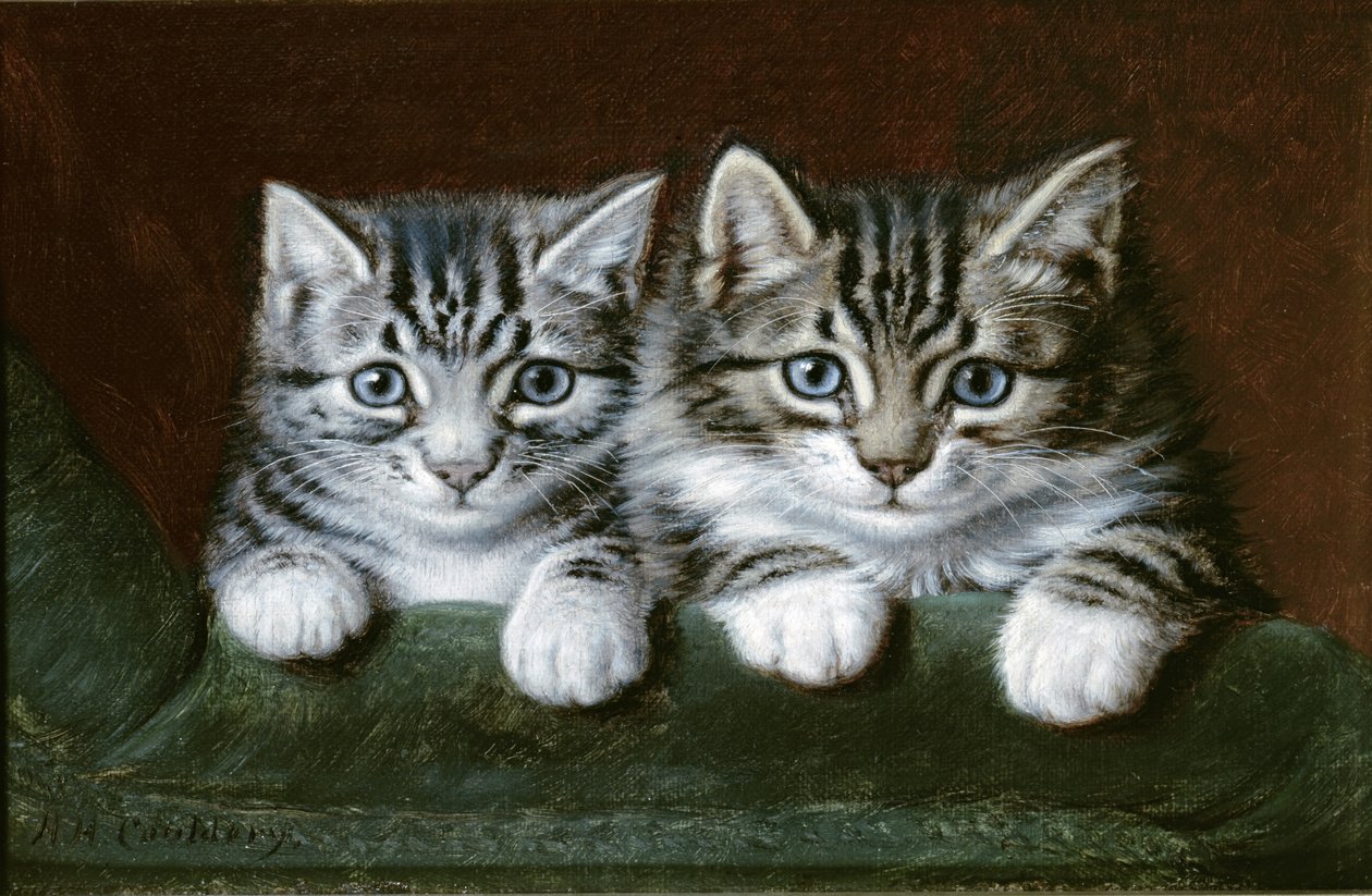 Two Tabby Kittens (öljy kankaalle) tekijältä Horatio Henry Couldery