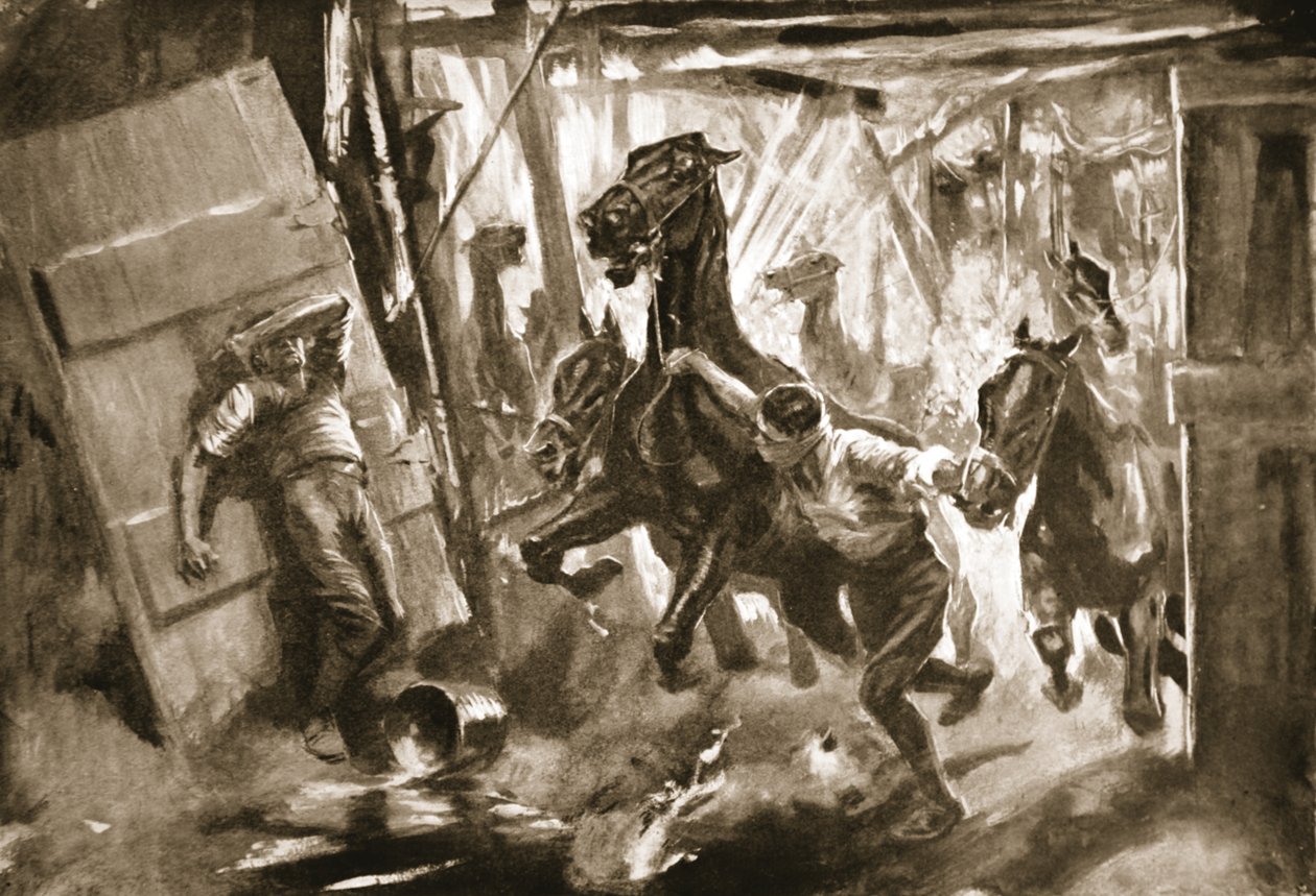 Väliaikainen farrier-kersantti Cussens irroittamassa hevosia tallista, jossa kuori oli räjähtänyt tekijältä Howard K. Elcock