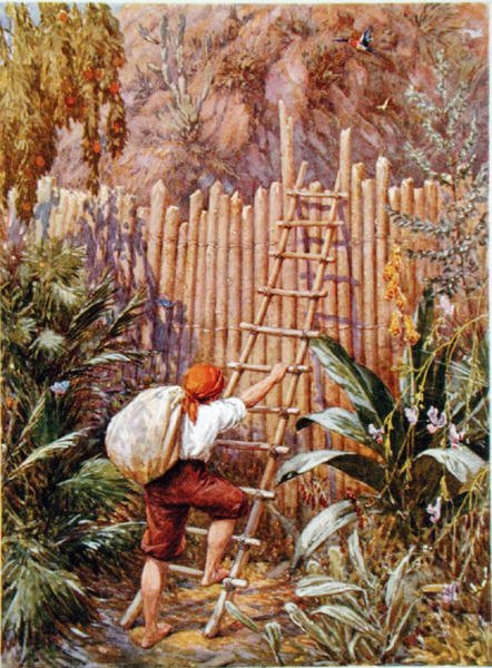 Crusoe i la seva fortalesa, il·lustració de "Robinson Crusoe" de Daniel Defoe (1660-1731) (litografia en color) finlandès tekijältä Howard Davie