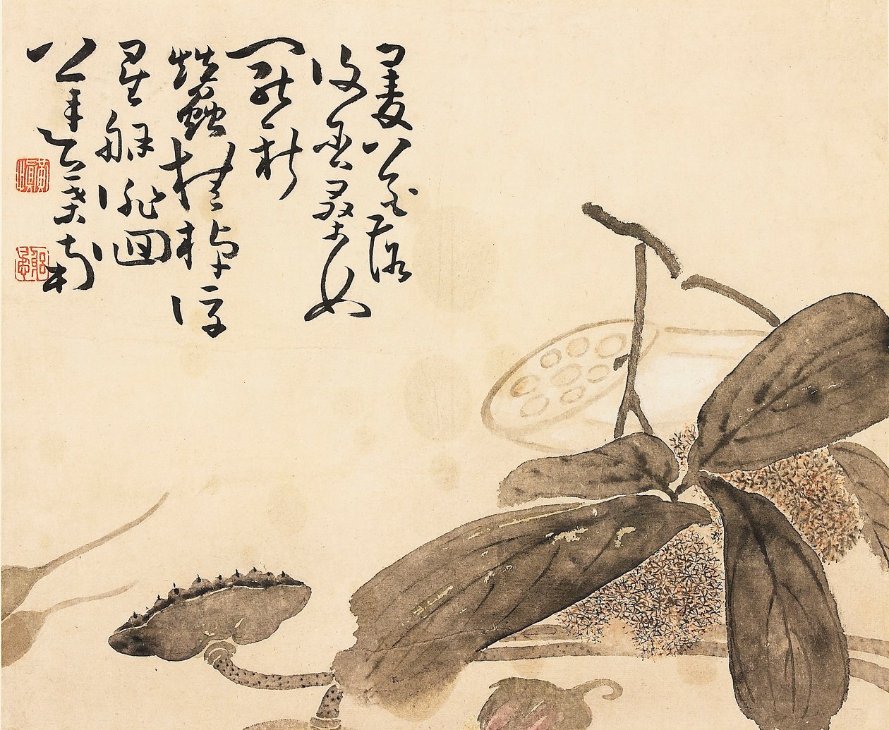 Maalattu albuminlehti - Lootuskasvi, 1700-luku tekijältä Huang Shen