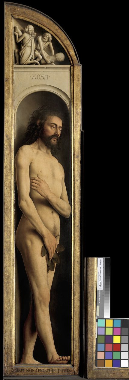 Adam, yksityiskohta Gentin alttaritaulun vasemmasta siivestä tekijältä Hubert & Jan van (1390 1441) Eyck