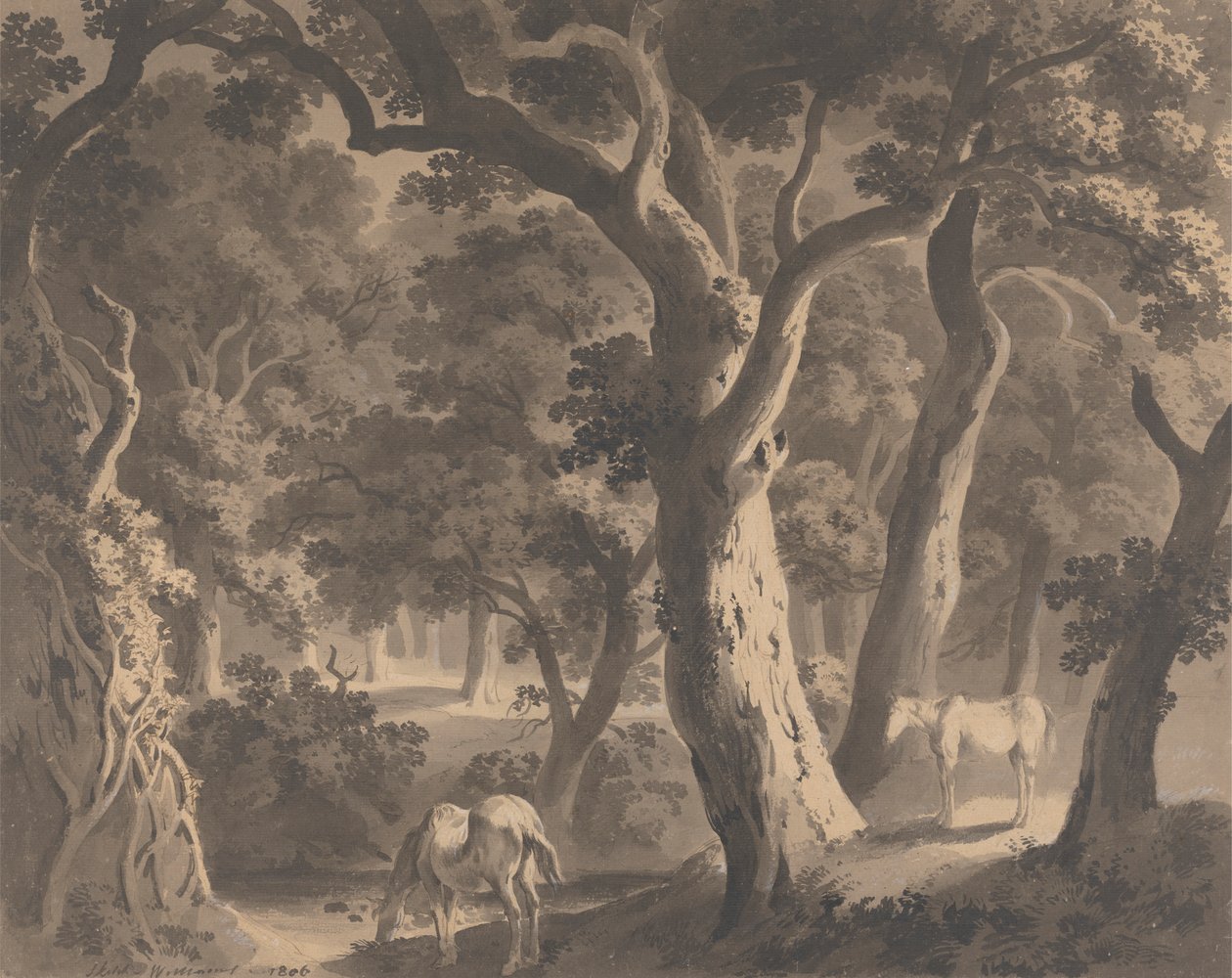 Wychwoodin metsä tekijältä Hugh William Grecian Williams