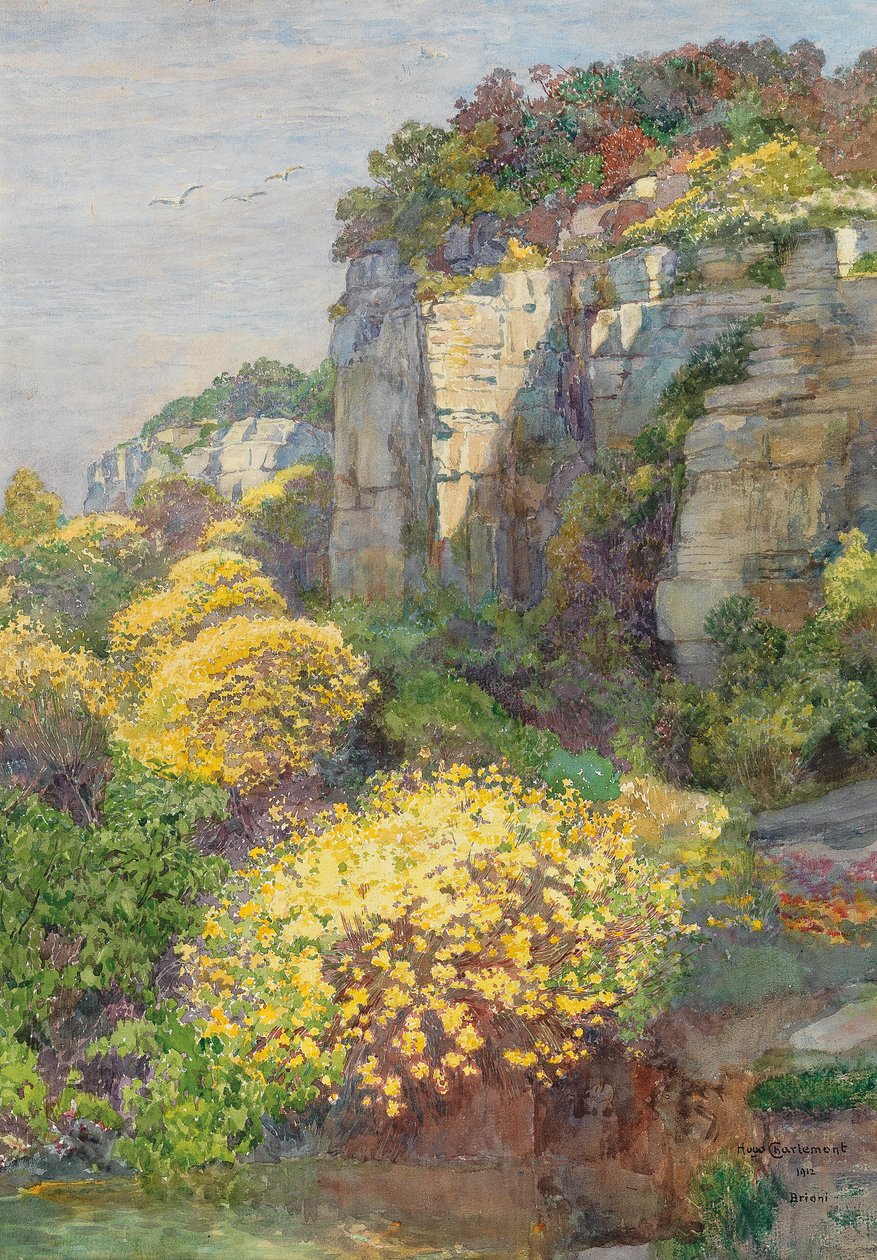 Ginsterblute auf BrioninEnglish: Broom in bloom on Brionin tekijältä Hugo Charlemont