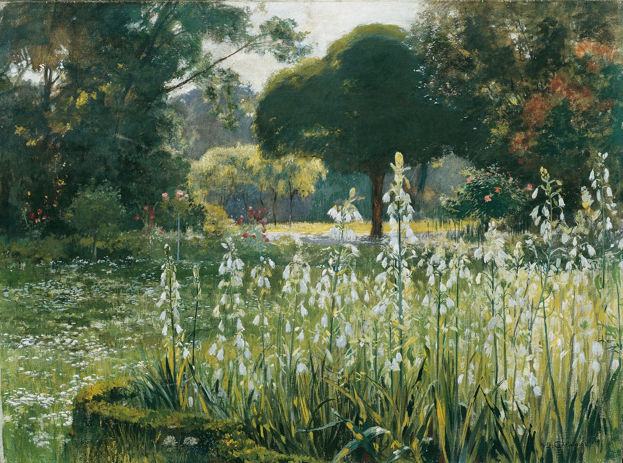 Kesähyasintit (Galtonia) tekijältä Hugo Charlemont