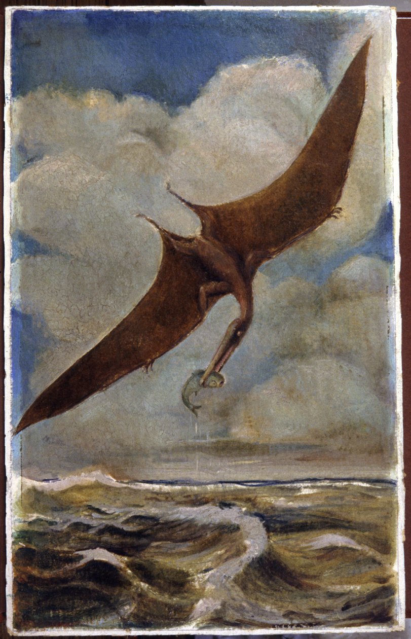 Pterodaktyyli. noin 1880 (guassi) tekijältä Hungarian School
