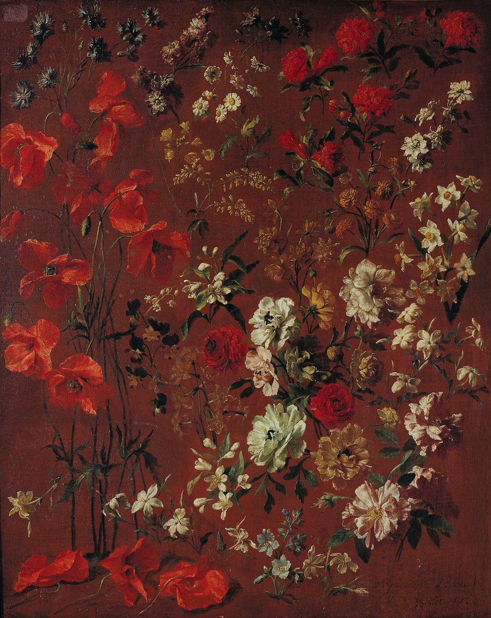 Kukkatutkimus, 1720 tekijältä Hyacinthe Francois Rigaud