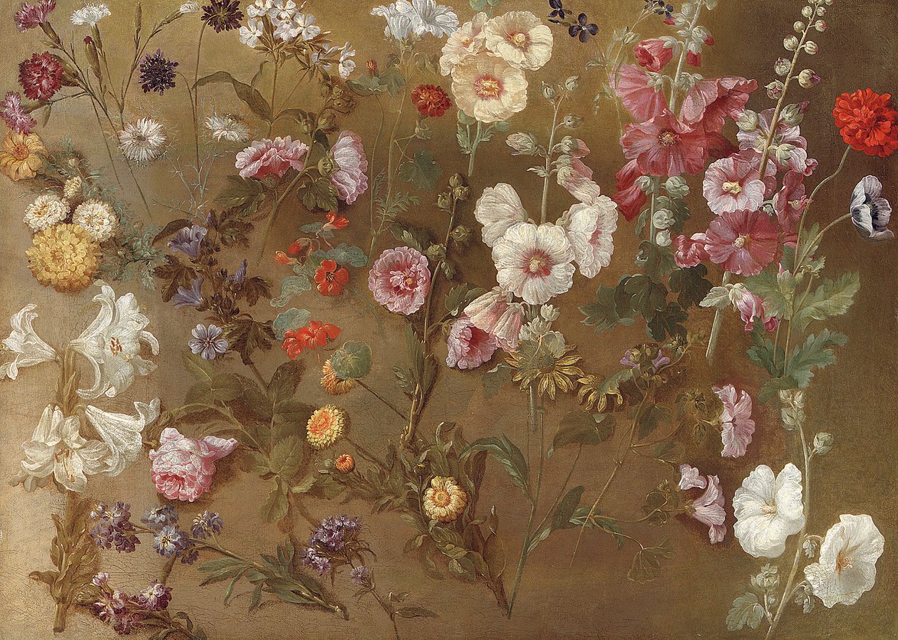 Kukkatutkimusten kokoonpano, mukaan lukien neilikat, neulatyynykukat, pomppivat vedot, malva; hollyhocks, afrikkalainen kehäkukka, unohtumattomat tekijältä Hyacinthe Francois Rigaud