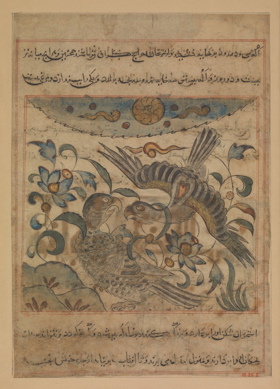 Pair of Eagles, Folio Manafi