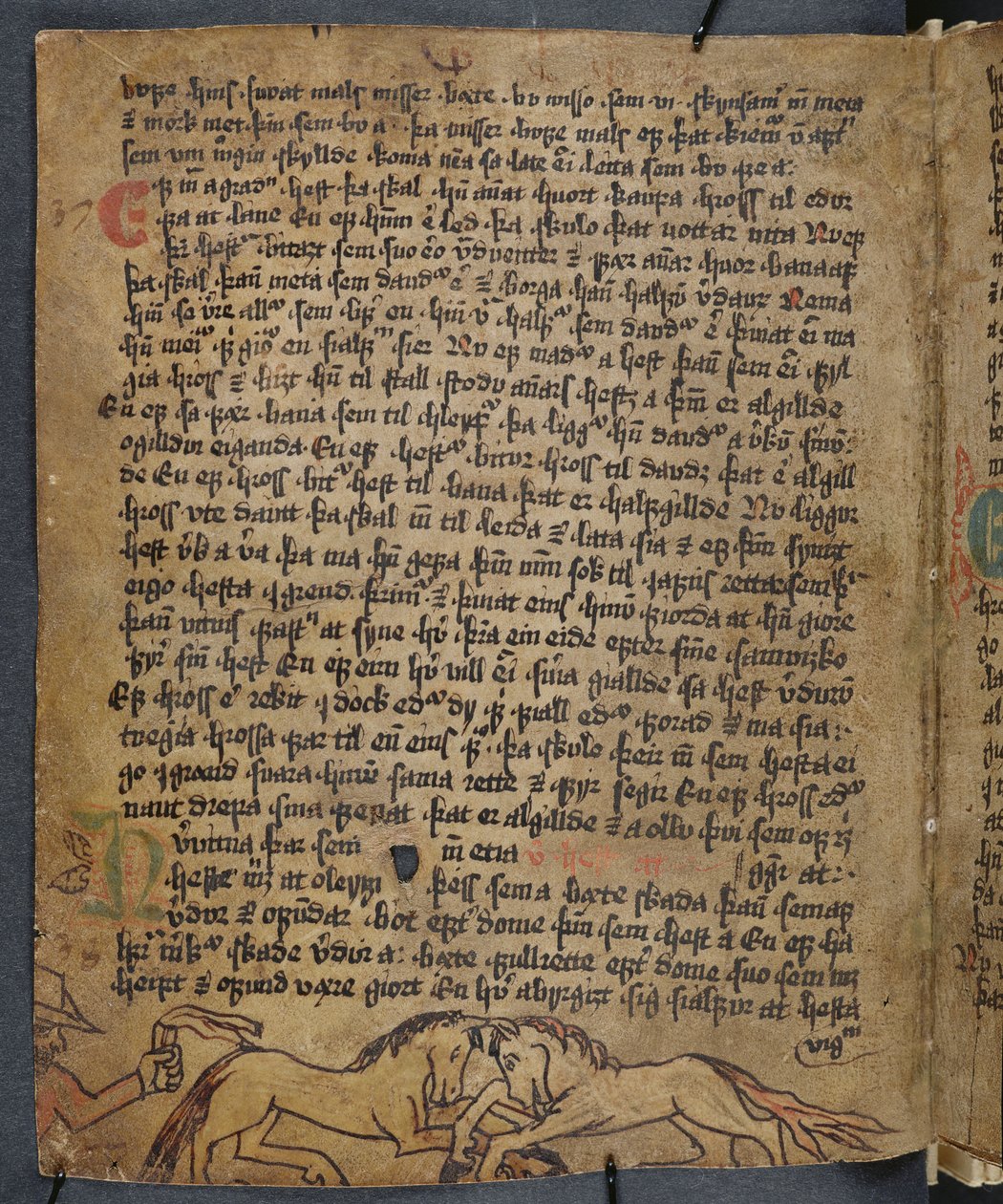 Hevostaistelu, Heynesbokista (Heynesin kirja), 1500-luvun ensimmäinen puolisko tekijältä Icelandic School