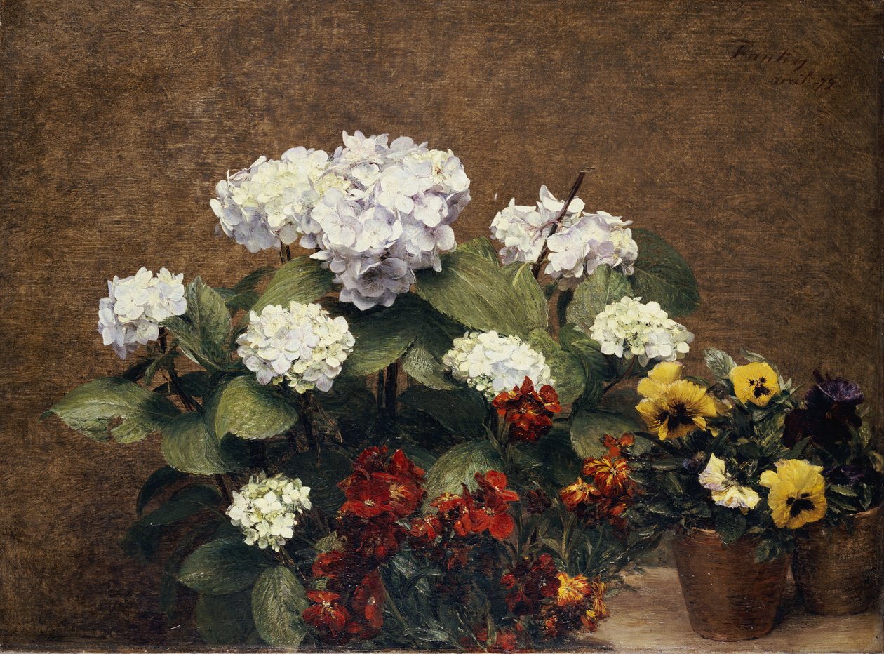 Hortensiat ja osakkeet kahdella ruukulla orvokkeja, 1879 tekijältä Ignace Henri Jean Fantin Latour