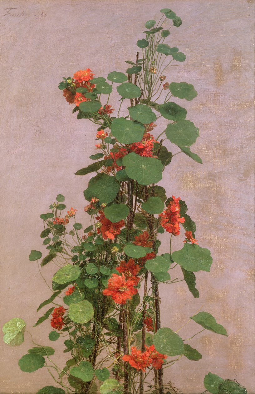 Nasturtium, 1880 tekijältä Ignace Henri Jean Fantin Latour