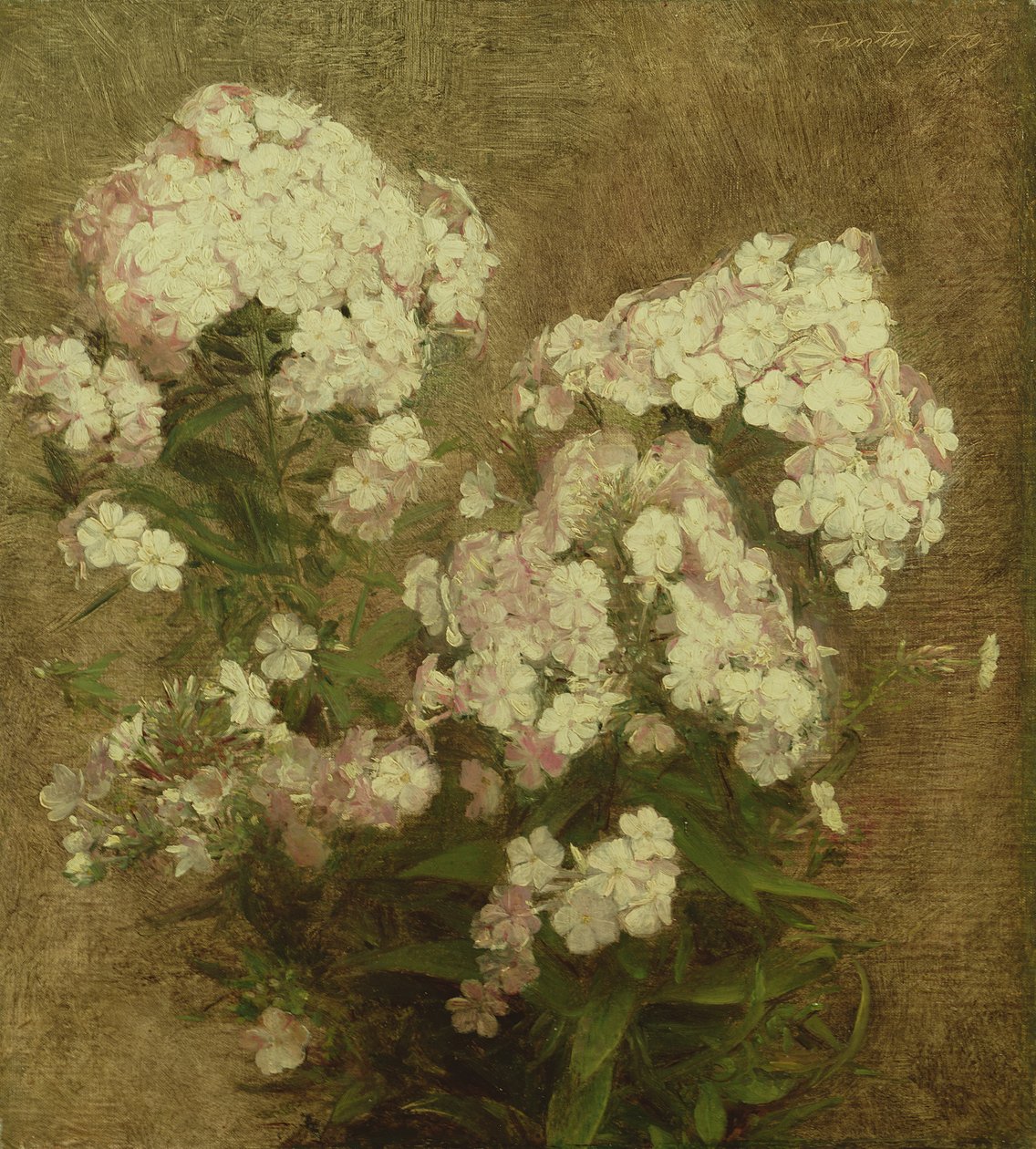 Phlox, 1870 tekijältä Ignace Henri Jean Fantin Latour