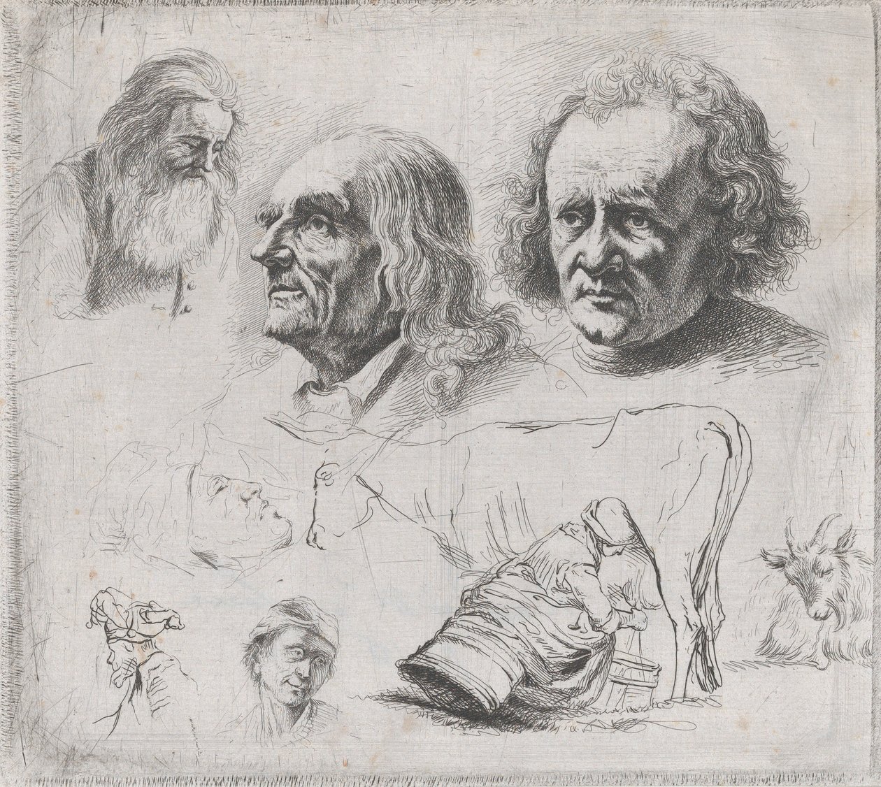 Tutkimus kuudesta päästä ja maitoneidosta, 1816. tekijältä Ignace Joseph de Claussin