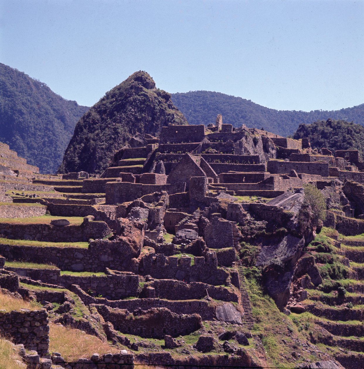 Machu Picchun linnoituksen terassirakennukset tekijältä Incan