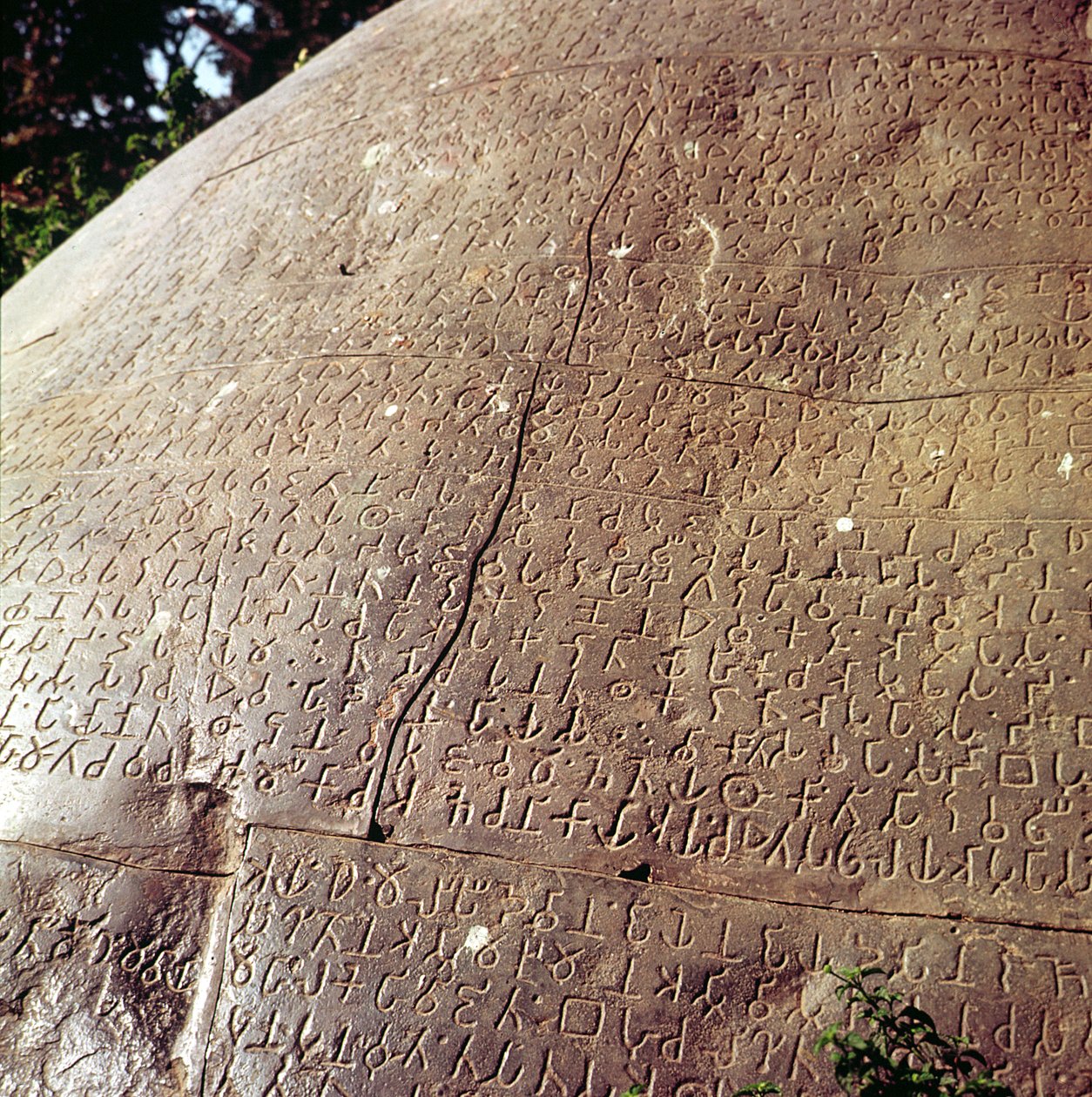 Kopio keisari Ashokan (n. 264-223 eKr.) kivestä (yksityiskohta) tekijältä Indian