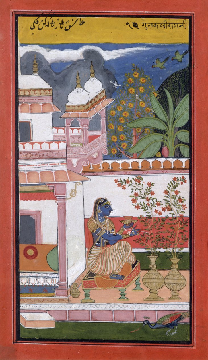 Nainen poimimassa kukkia ruukusta, Bundi, Rajasthan, Rajput School, n. 1680, tekijältä Indian School