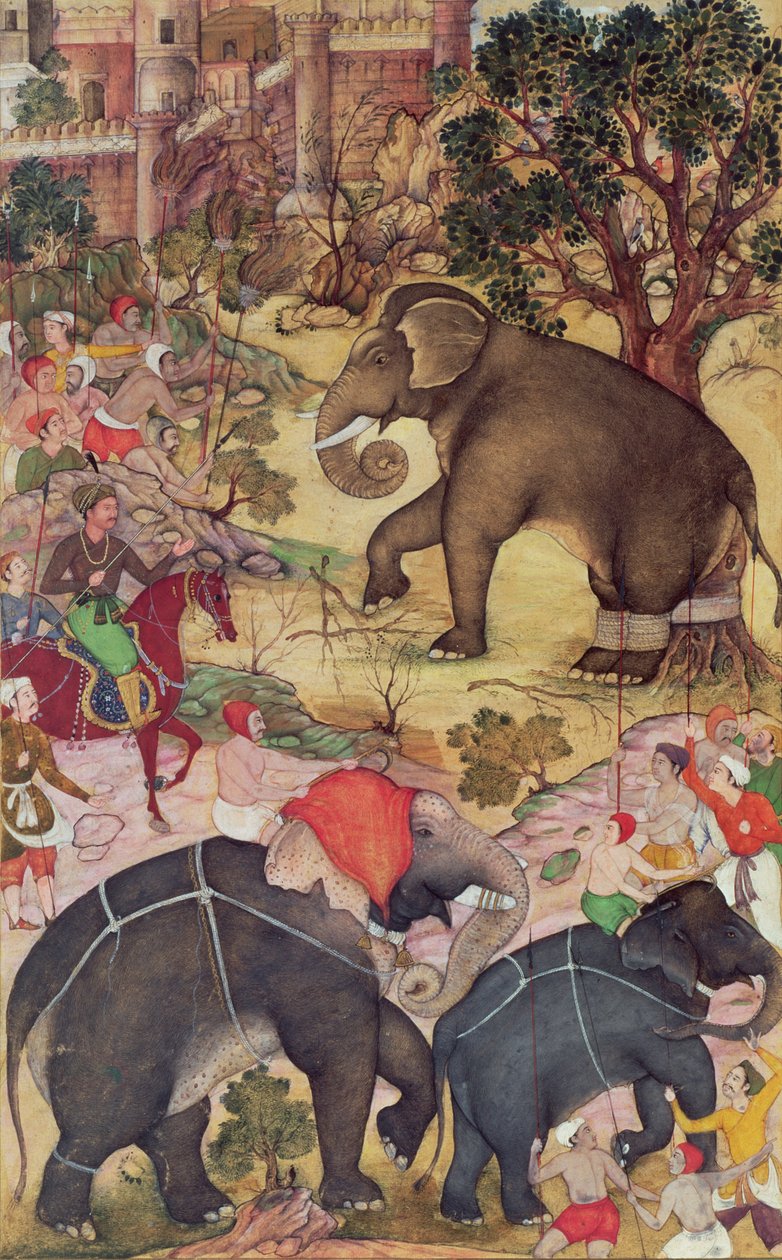 Akbar tarkastaa Malwan lähistöllä laumasta pyydystettyä villiä norsua, Akbarnama, moguli, n. 1590-95 (läpinäkymätön wc ja kulta paperilla). tekijältä Indian School