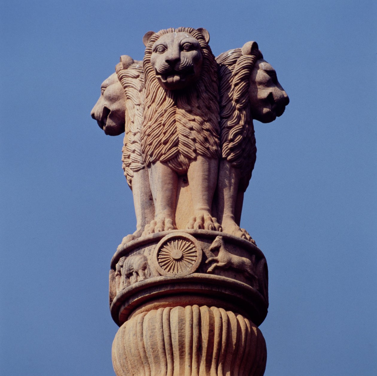Yksityiskohta Ashoka-pilarista tekijältä Indian School