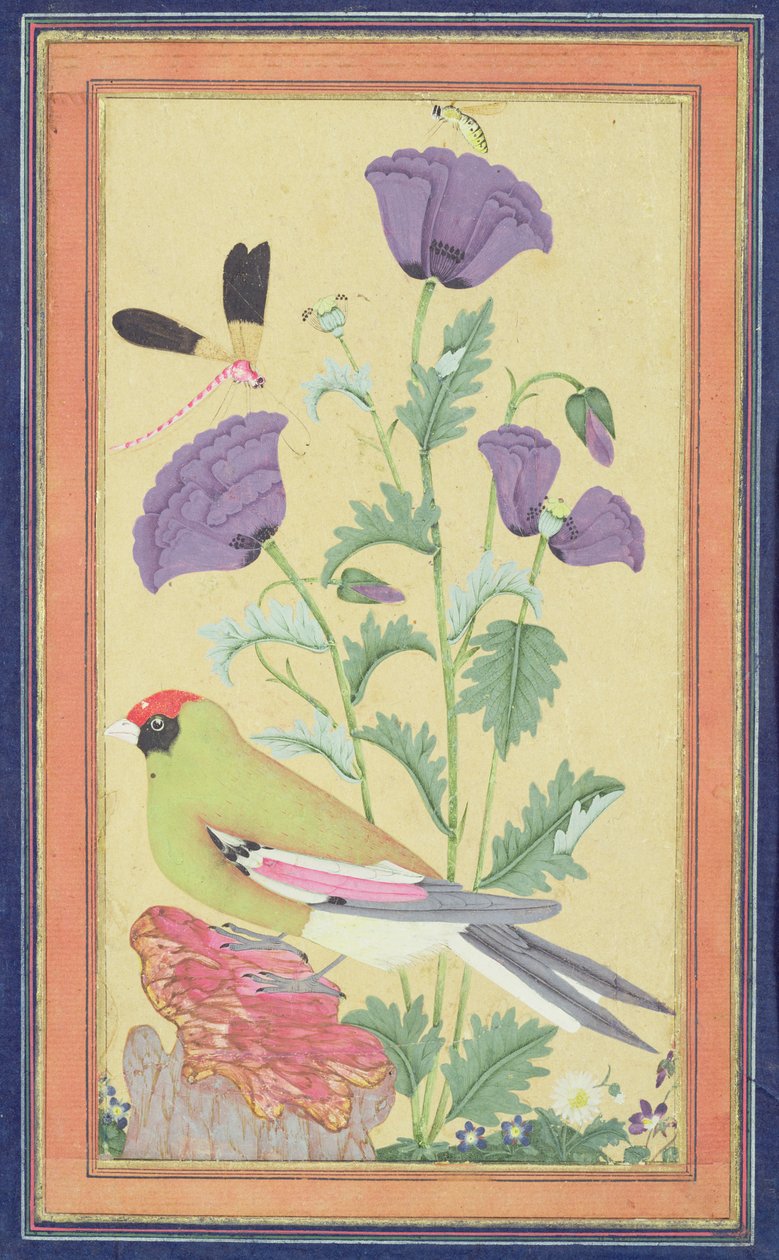 Peippo, unikot, sudenkorento ja mehiläinen, n. 1650-70 (wc ja kultaa paperilla) tekijältä Indian School