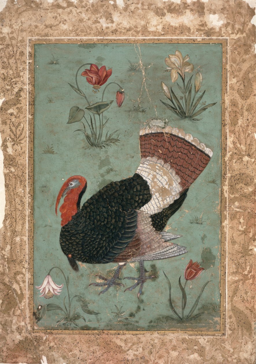 Turkki, Mughal (väri vaaleanvihreällä pohjalla) tekijältä Indian School
