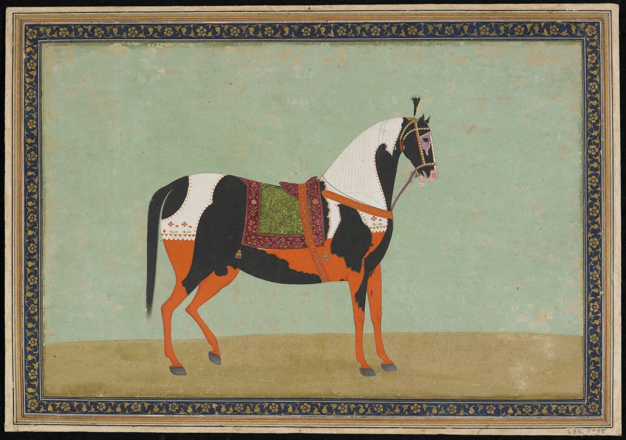 Hevonen, albumin folio, 1800-luku (läpinäkymätön akvarelli ja kulta paperille) tekijältä Indian School