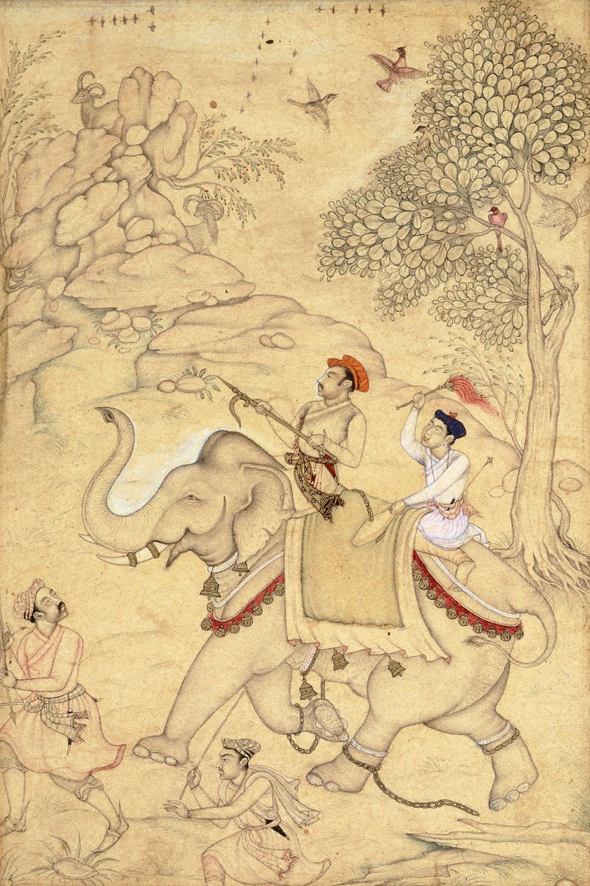 Prinssi metsästävä, elefantin selässä, n. 1600-1650 tekijältä Indian School
