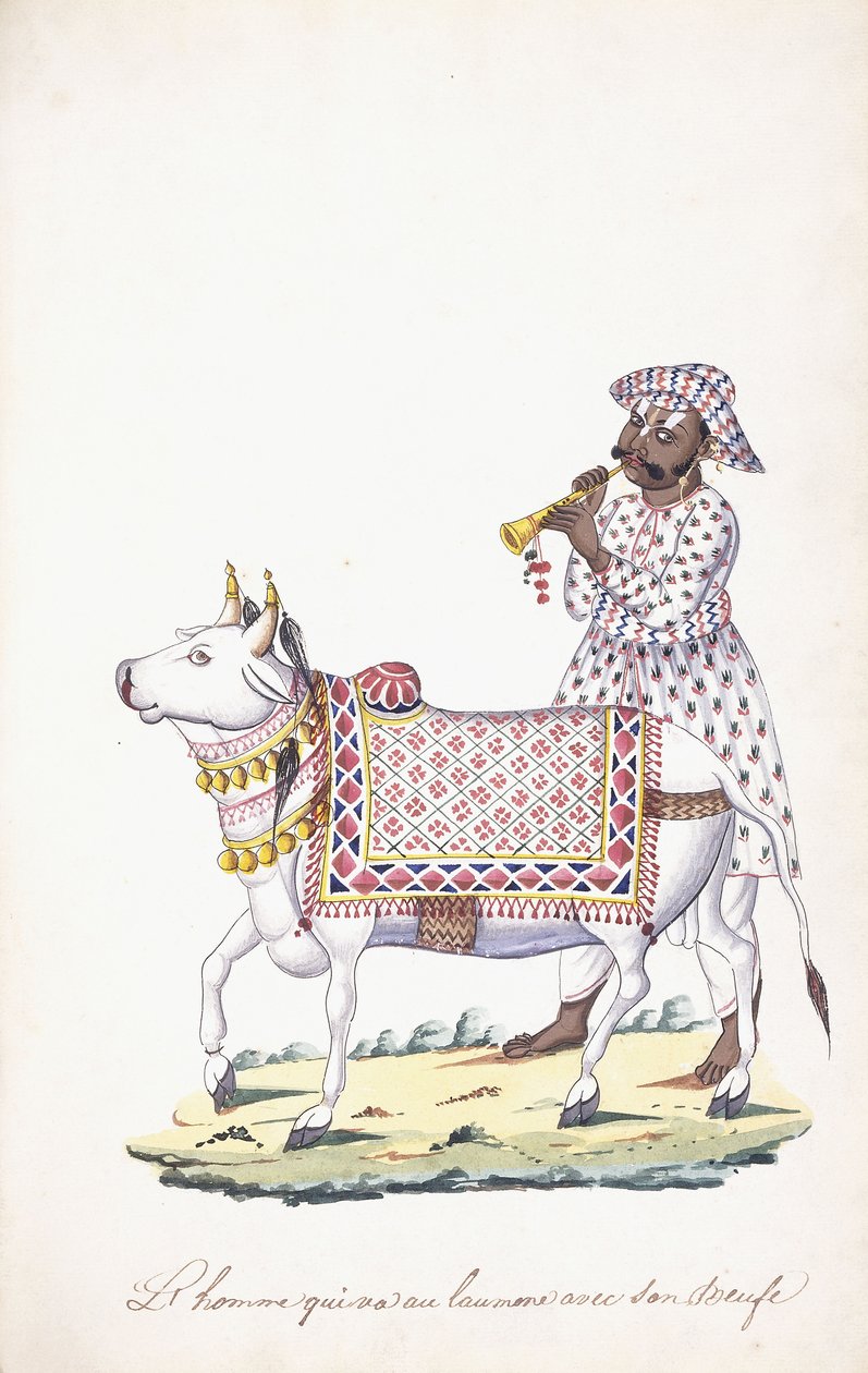 Mies härkänsä kanssa, c. 1825 (lyijykynä, kynä, musta muste, w/c, Whatman-paperille) tekijältä Indian School