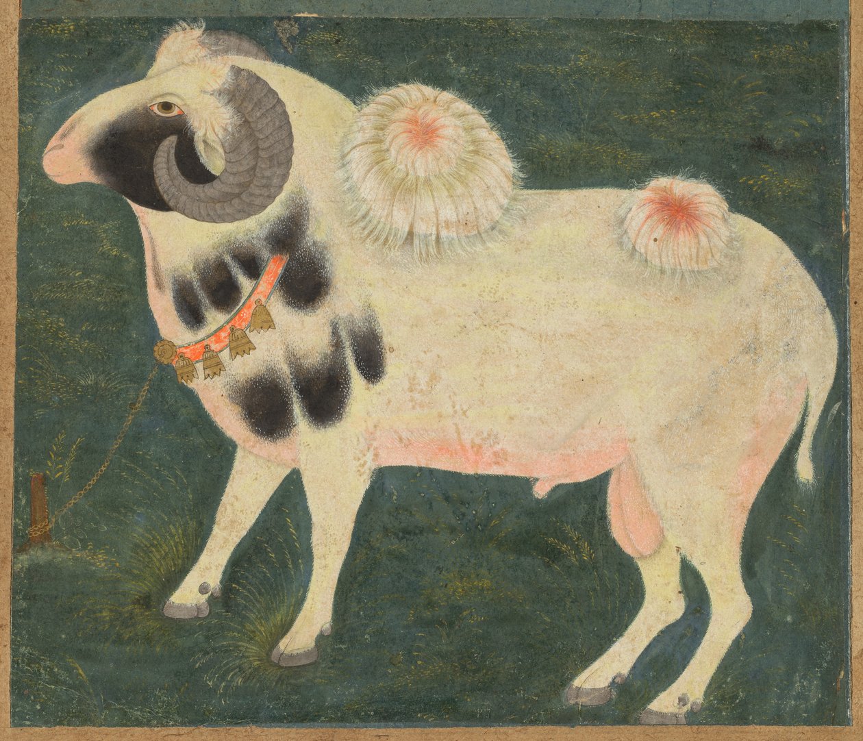 Kuninkaallinen pässi kultaketjulla, n. 1585 (läpinäkymätön akvarelli ja kulta paperille) tekijältä Indian School