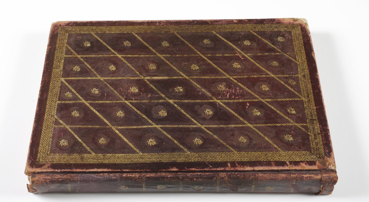Mughal-dynastian sukututkimusalbumi, 1855 (nahkaa kultaisilla yksityiskohdilla) tekijältä Indian School