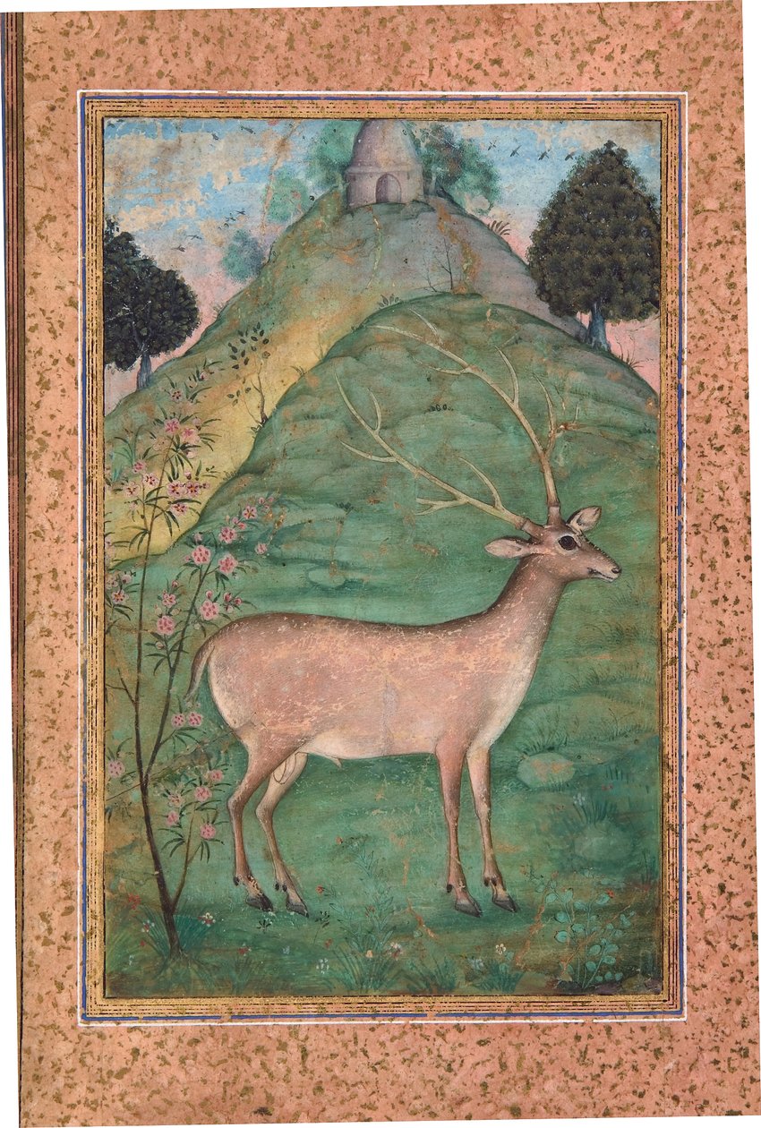 Buck in a Landscape, n. 1595 (läpinäkymätön wc ja kultaa paperilla) tekijältä Indian School