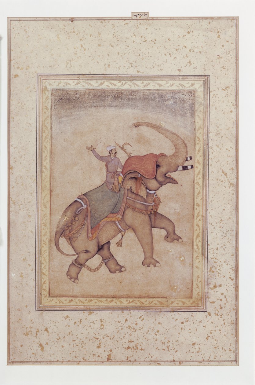 Elefantti ja mahoutti (norsunkuljettaja), n. 20.10.2001.
1595-1600 (Läpinäkymätön akvarelli, muste ja kulta paperille) tekijältä Indian School