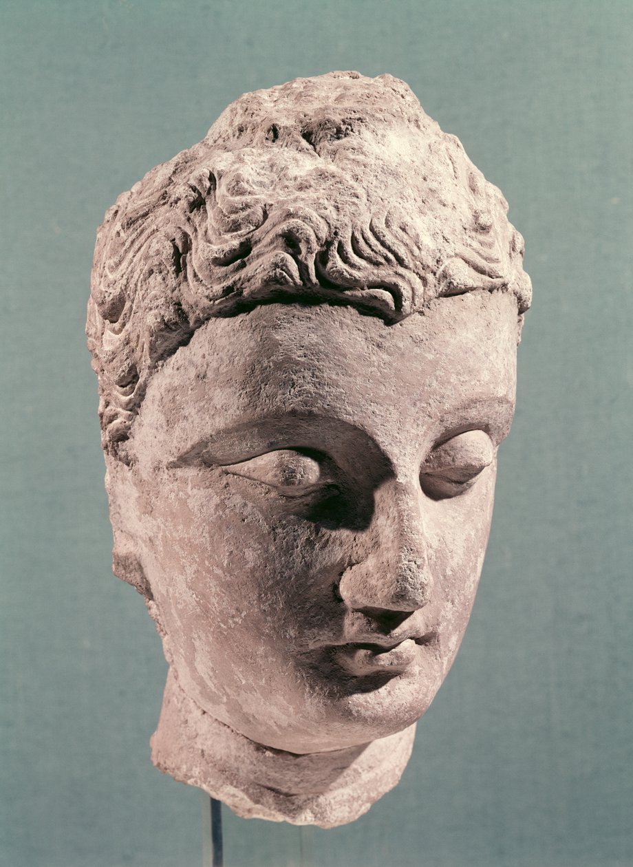 Buddhan pää, Gandhara, 2.-4. vuosisadat (stukki) tekijältä Indian School