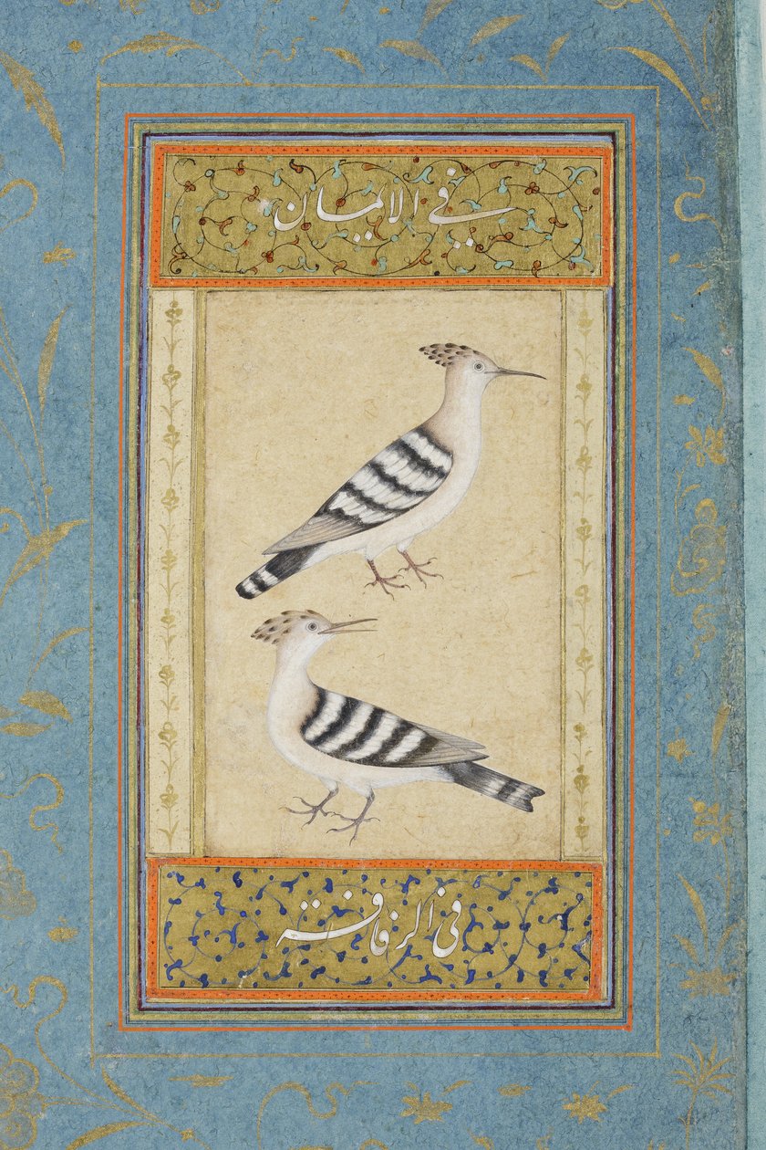 Hoopoes, n. 1590 (läpinäkymätön wc ja kultaa paperilla) tekijältä Indian School