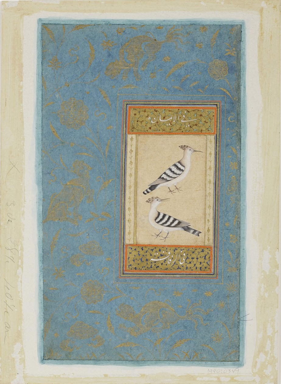 Hoopoes, n. 1590 (läpinäkymätön wc ja kultaa paperilla) tekijältä Indian School