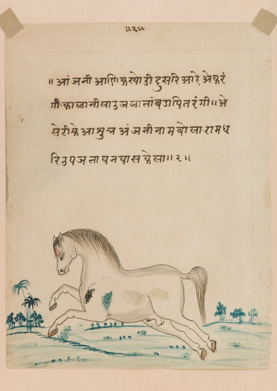 Hevonen (läpinäkymätön wc paperilla) tekijältä Indian School