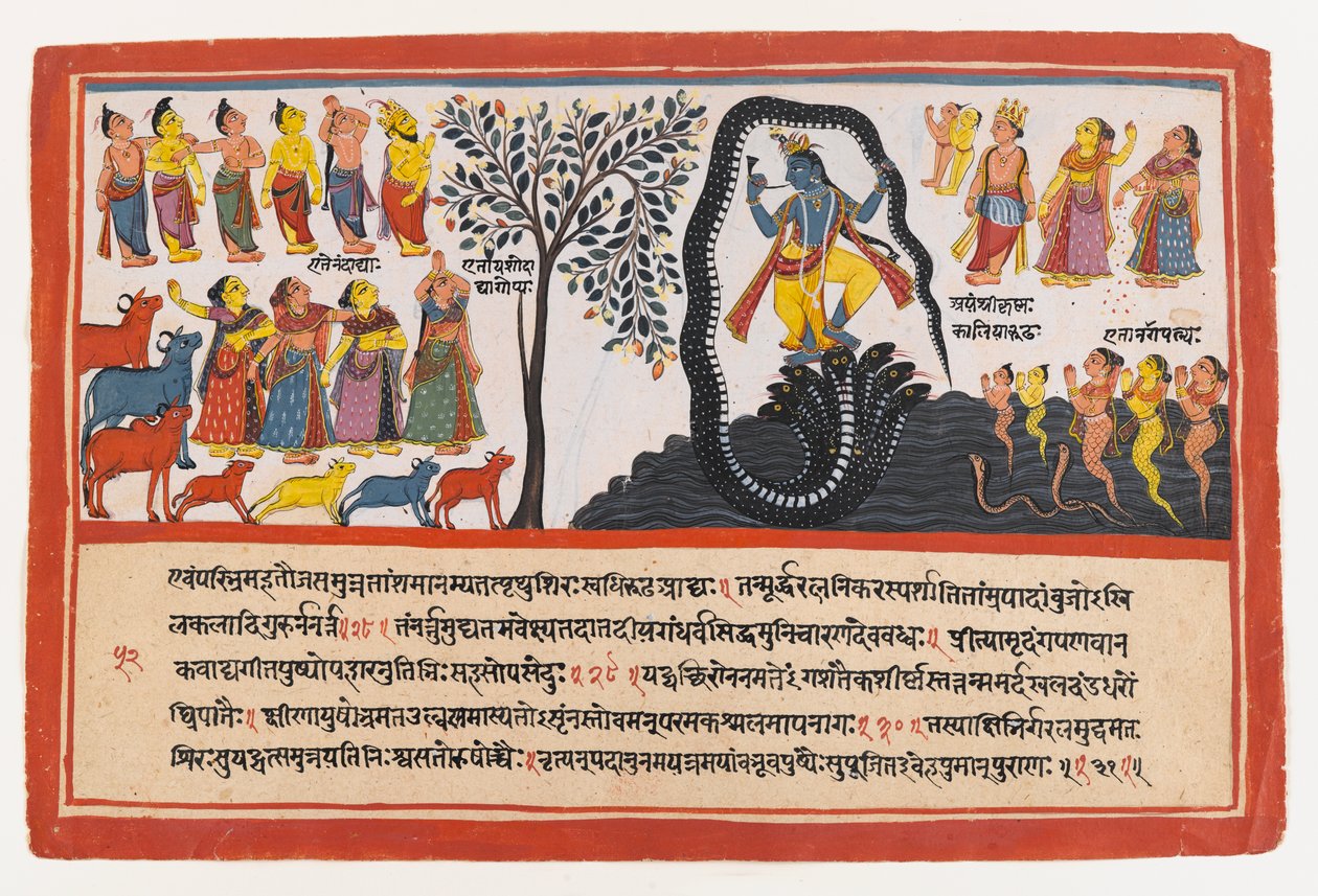 Krishna Conquers the Serpent Kaliya, sivu hajallaan olevasta Bhagavata Purana -sarjasta, n. 1775 (läpinäkymätön wc ja kultaa paperilla) tekijältä Indian School