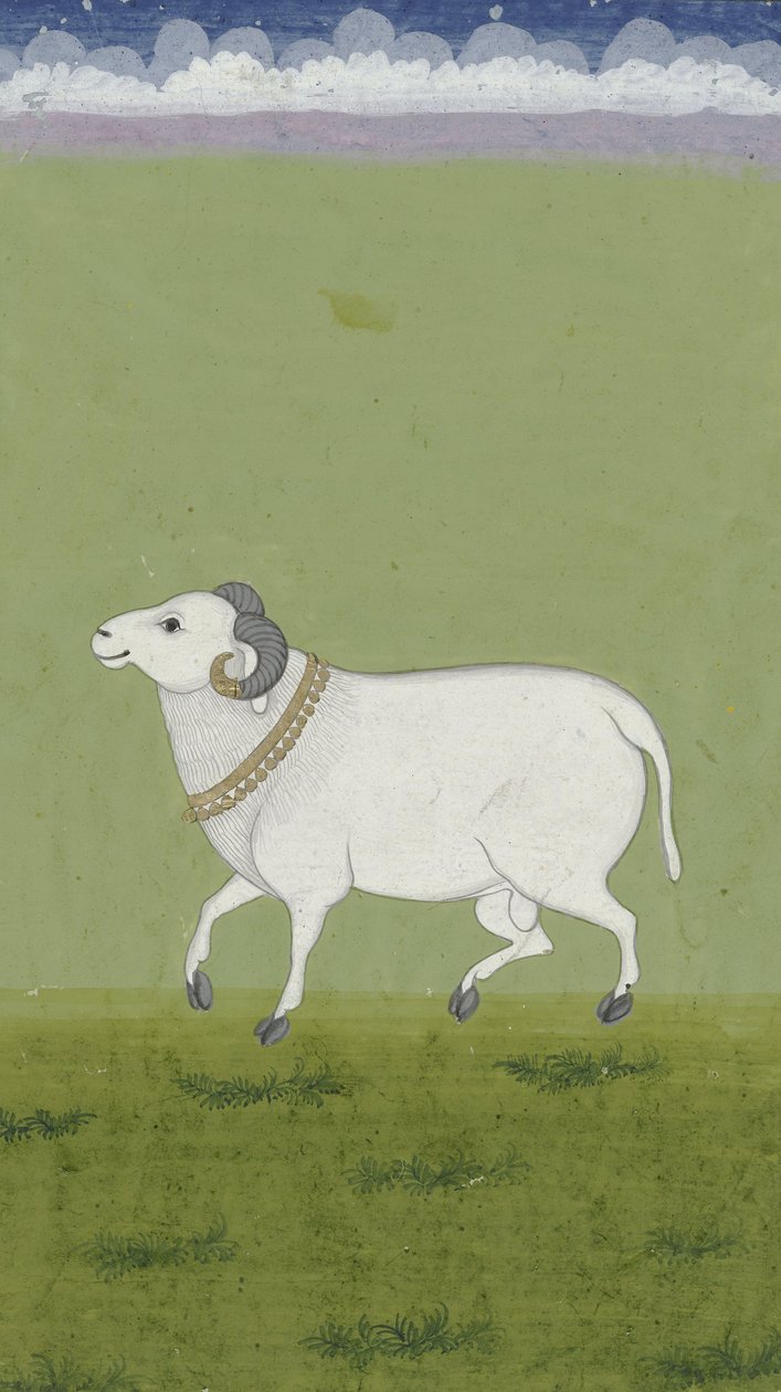Oinas kultakauluksella, 1700-1799 tekijältä Indian School