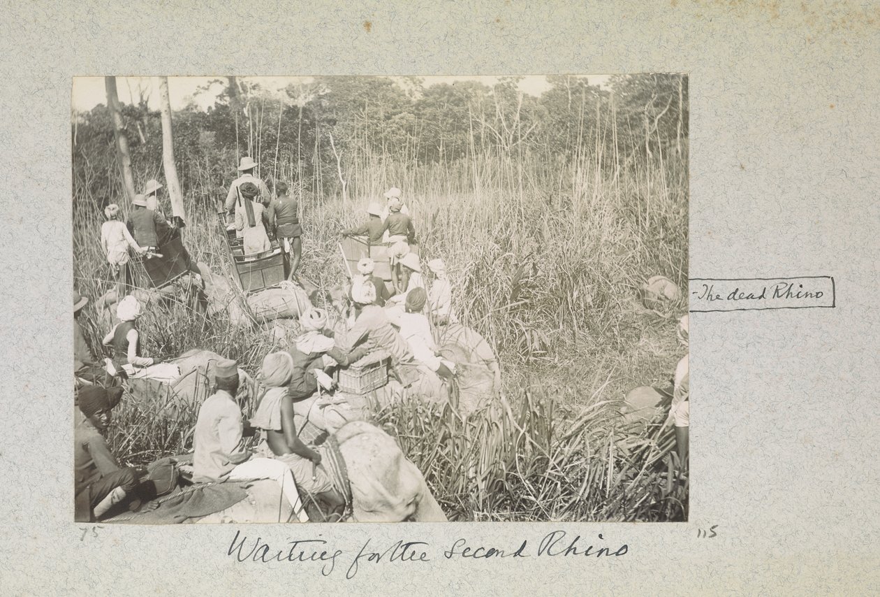 Odotan toista sarvikuonoa, "Curzon Collection: Albumi tilannekuvista, jotka liittyvät pääasiassa Lord Curzonin aikaan Intian varakuninkaana", huhtikuu 1901 tekijältä Indian photographer