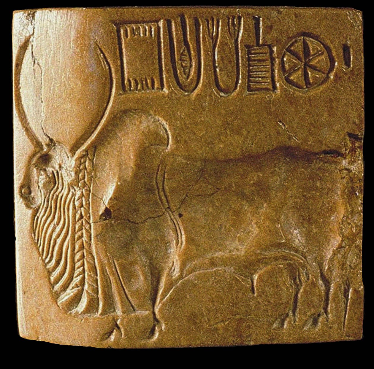 Zebu-härkäsinetti Indus-kirjoituksella löydetty Mohenjo Darosta, Indus-laaksosta, 3. vuosituhat eKr. tekijältä Indus Valley Civilisation.