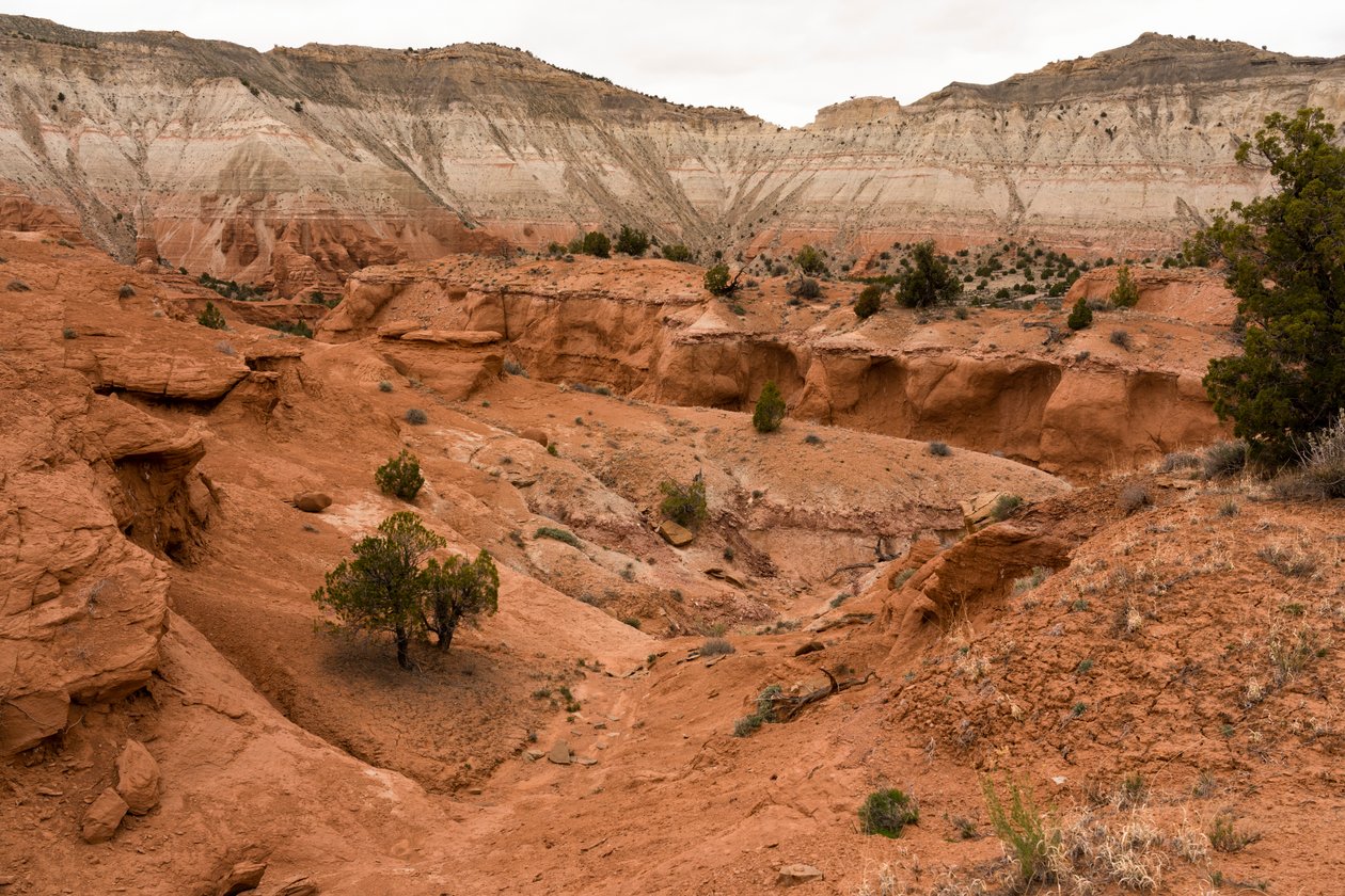 Maisema Kodachrome Basin State Parkissa, Utah, 2019 (kuva) (kuva) tekijältä Ira Block