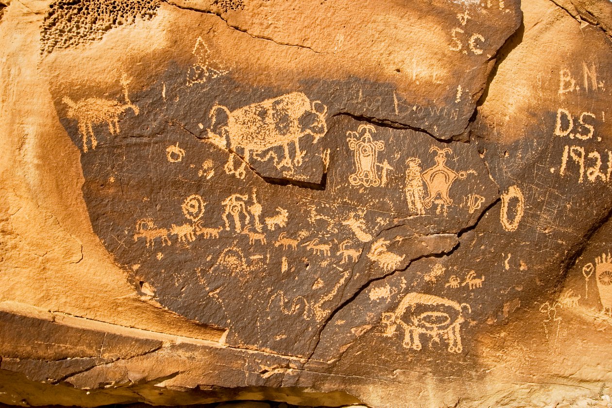 Petroglyfi lohkareella, jossa on biisoni ja toinen tiineenä oleva biisoni Willow Bendissä..., 2005 (kuva) tekijältä Ira Block