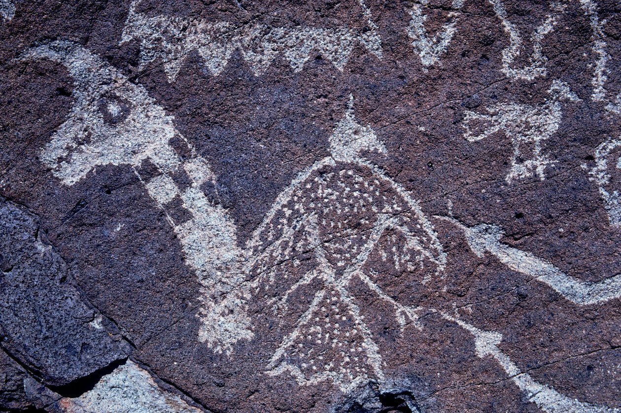 Anasazi Petroglyph (kalliotaide) kaiverrukset New Mexicossa. tekijältä Ira Block