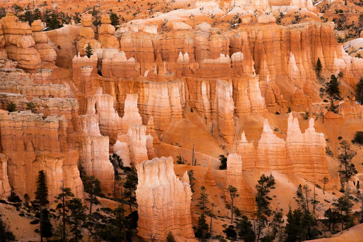Eroosion synnyttämiä huippuja Bryce Canyonin kansallispuistossa Utahissa, 2019 (kuva). tekijältä Ira Block